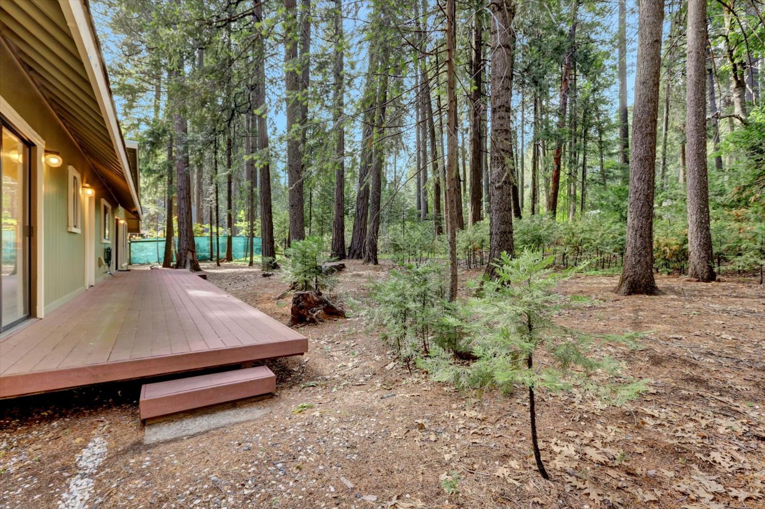 Detail Gallery Image 64 of 98 For 13480 Red Dog Rd, Nevada City,  CA 95959 - 3 Beds | 2/1 Baths