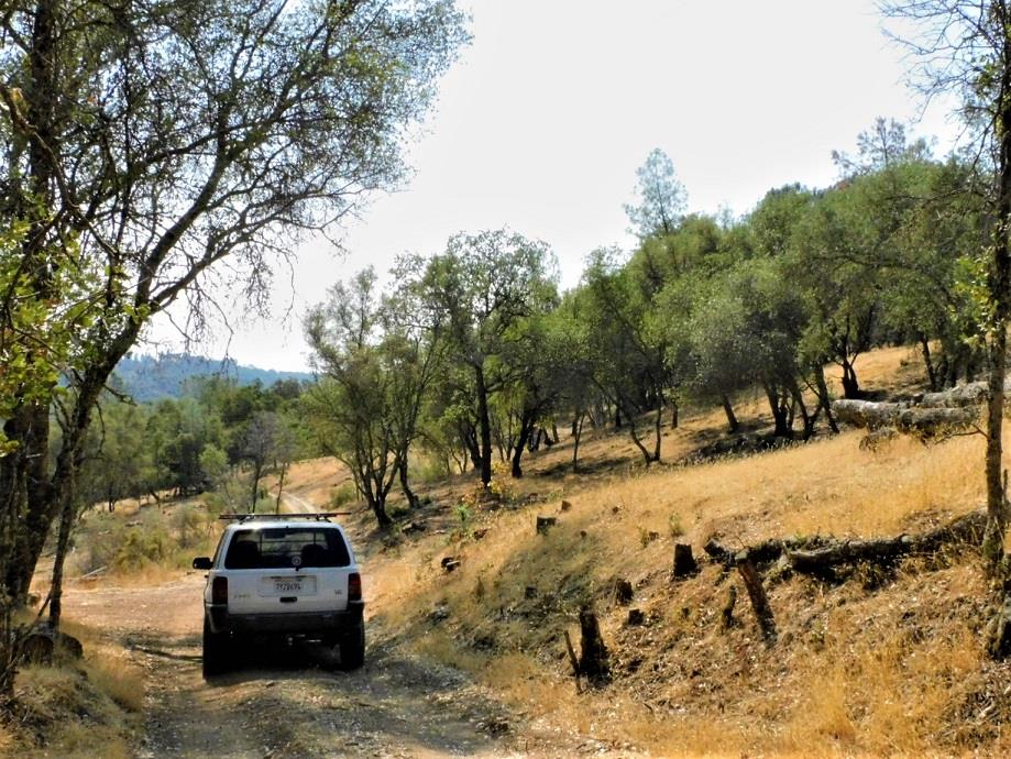 Detail Gallery Image 14 of 24 For 112 Union Mine Rd, El Dorado,  CA 95623 - – Beds | – Baths