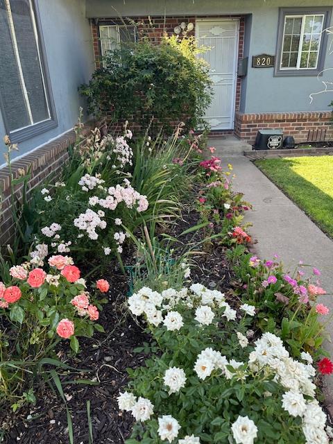 Detail Gallery Image 7 of 77 For 820 Park St, Lodi,  CA 95240 - 3 Beds | 2 Baths