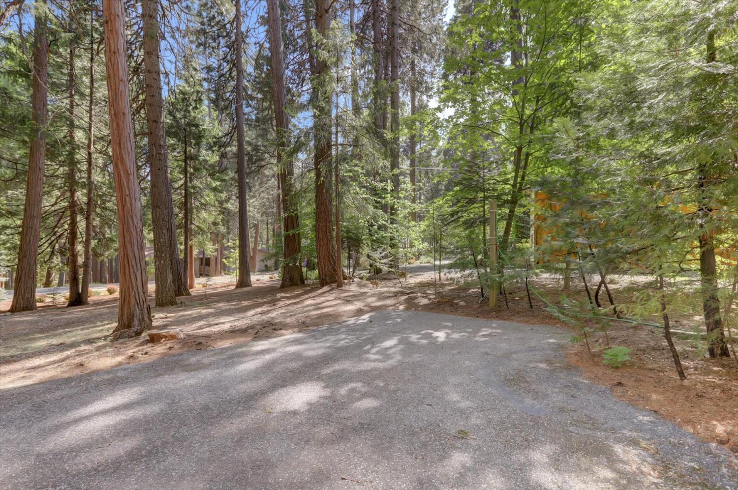 Detail Gallery Image 85 of 98 For 13480 Red Dog Rd, Nevada City,  CA 95959 - 3 Beds | 2/1 Baths
