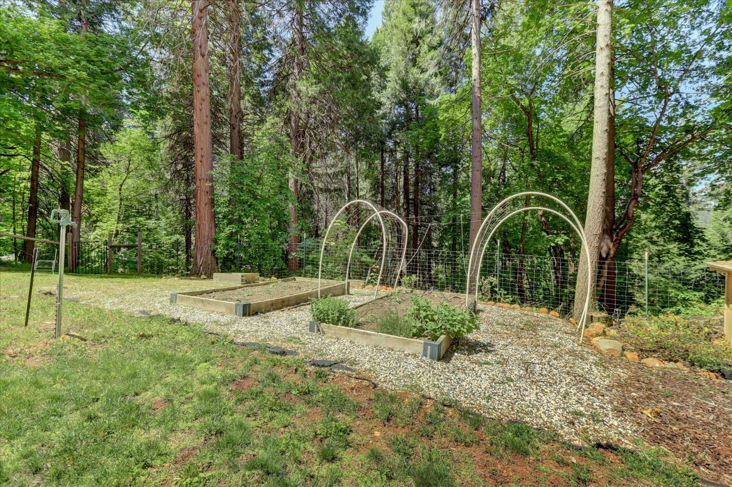 Detail Gallery Image 74 of 90 For 12569 Pasquale Rd, Nevada City,  CA 95959 - 2 Beds | 2 Baths