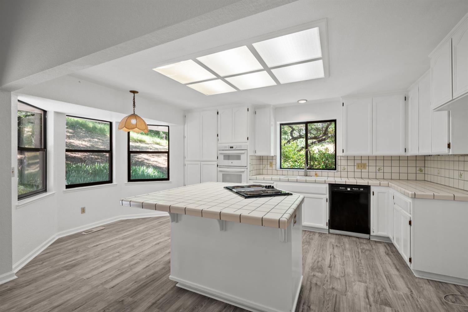 Blackberry Lane, Meadow Vista, California image 13