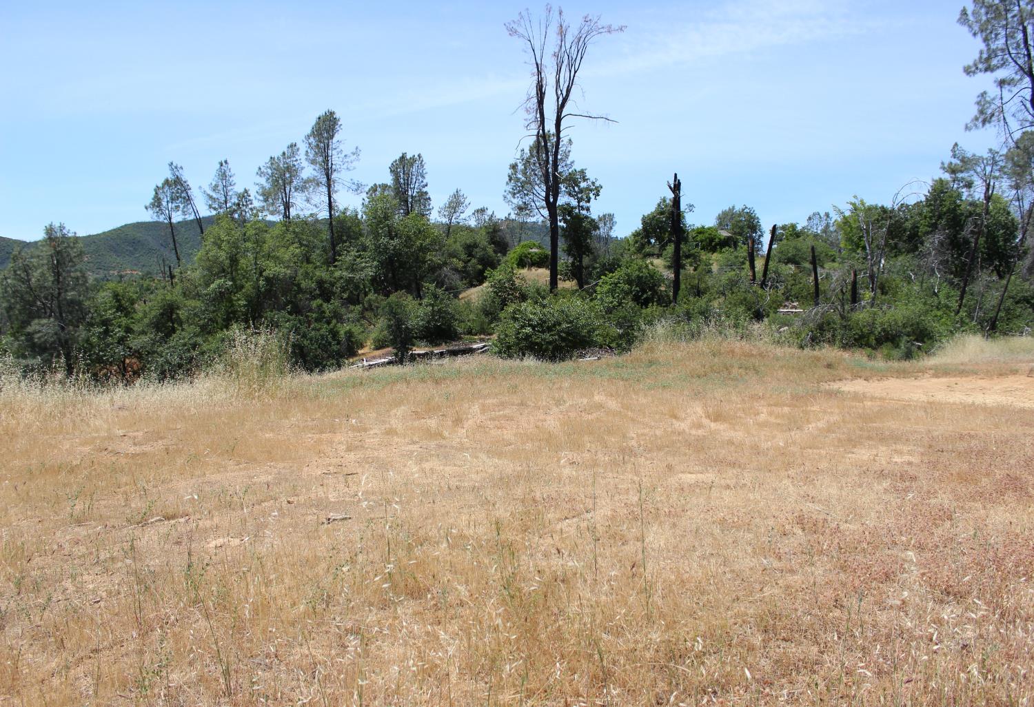 Carrousel Drive, Redding, California image 9