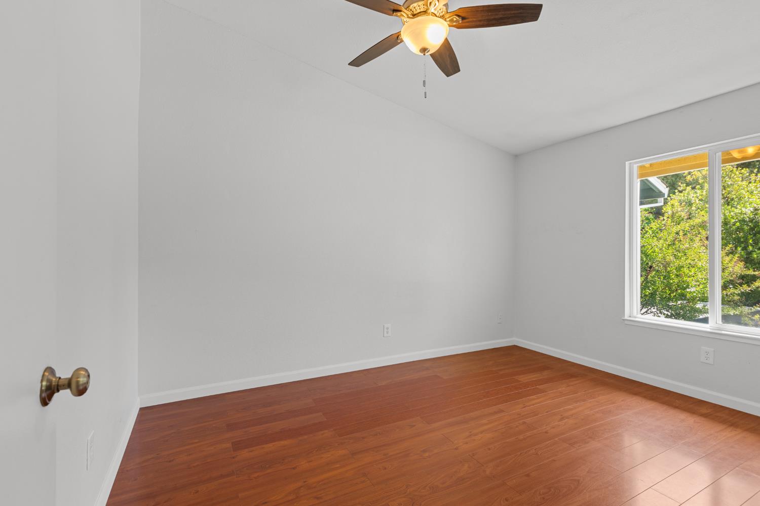 Photo #20: 225062559 Listing: Photo #20