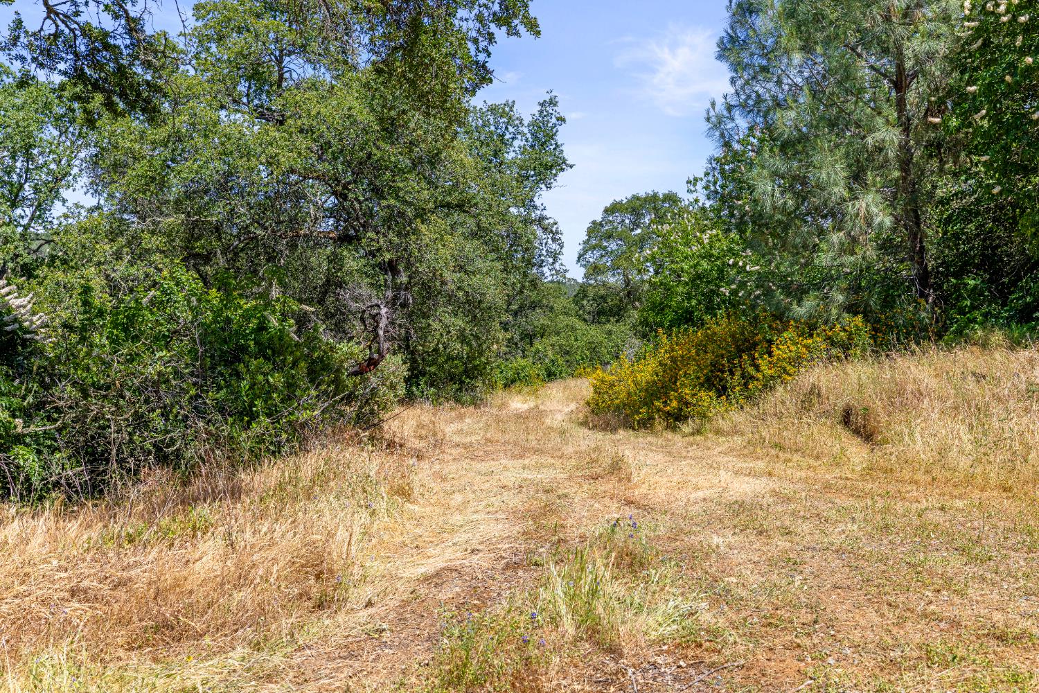 Detail Gallery Image 83 of 94 For 3740 Wild Turkey Dr, Shingle Springs,  CA 95682 - 4 Beds | 3 Baths