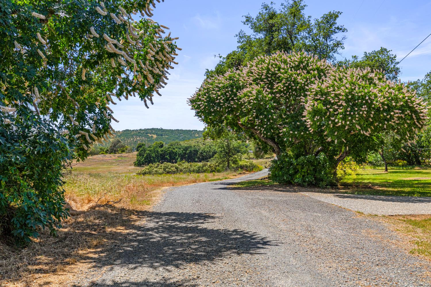 Detail Gallery Image 84 of 94 For 3740 Wild Turkey Dr, Shingle Springs,  CA 95682 - 4 Beds | 3 Baths