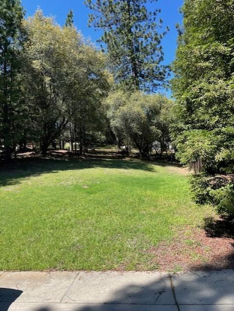 Detail Gallery Image 1 of 1 For 1094 Estey Ct, Placerville,  CA 95667 - – Beds | – Baths