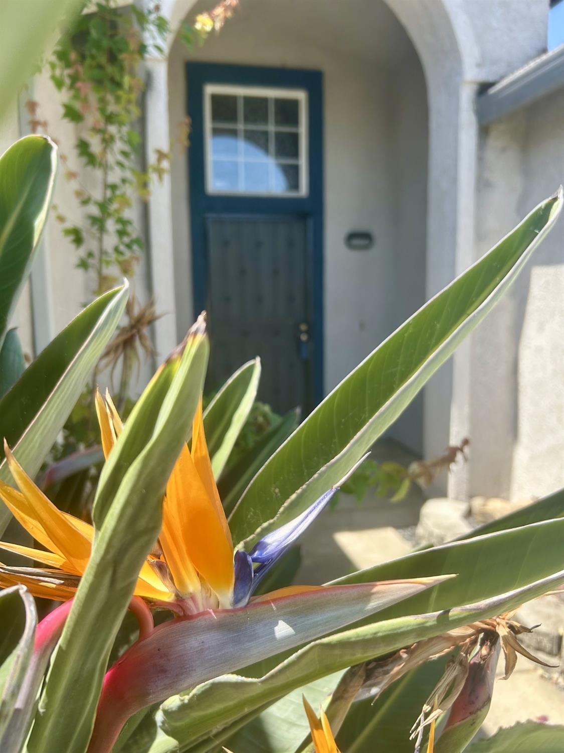 Detail Gallery Image 1 of 31 For 766 Oldenburg Way, Galt,  CA 95632 - 3 Beds | 2 Baths