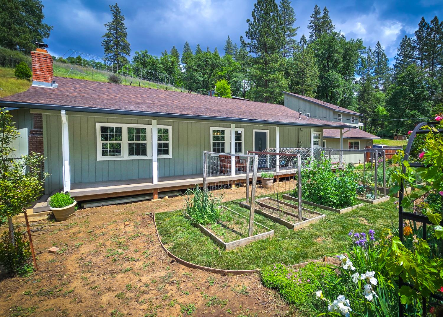Sly Park Road, Placerville, California image 1