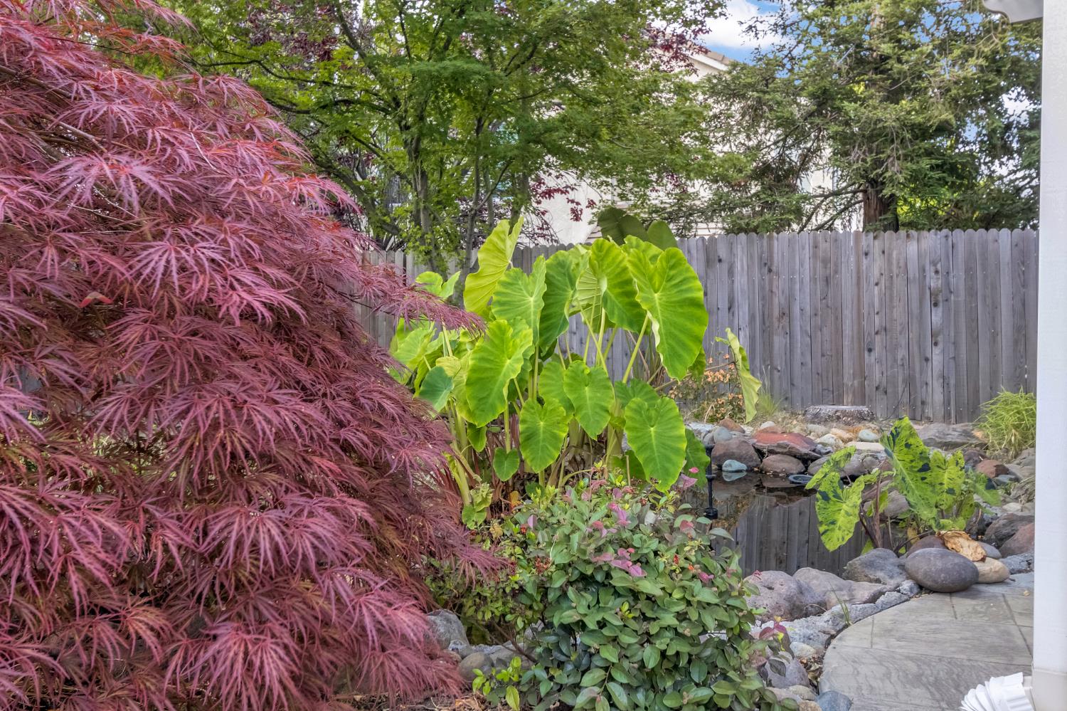 Detail Gallery Image 38 of 46 For 6235 Flamingo Way, Rocklin,  CA 95765 - 3 Beds | 2 Baths