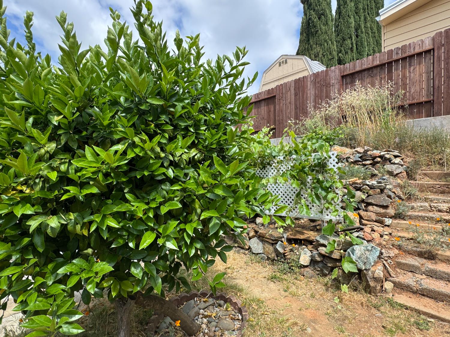 Detail Gallery Image 37 of 37 For 1624 Tulip Cir, Auburn,  CA 95603 - 3 Beds | 2 Baths