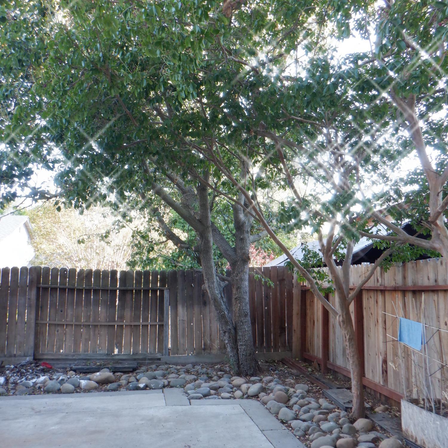 Detail Gallery Image 17 of 19 For 8425 Vintage Park Dr., Sacramento,  CA 95828 - 3 Beds | 2 Baths