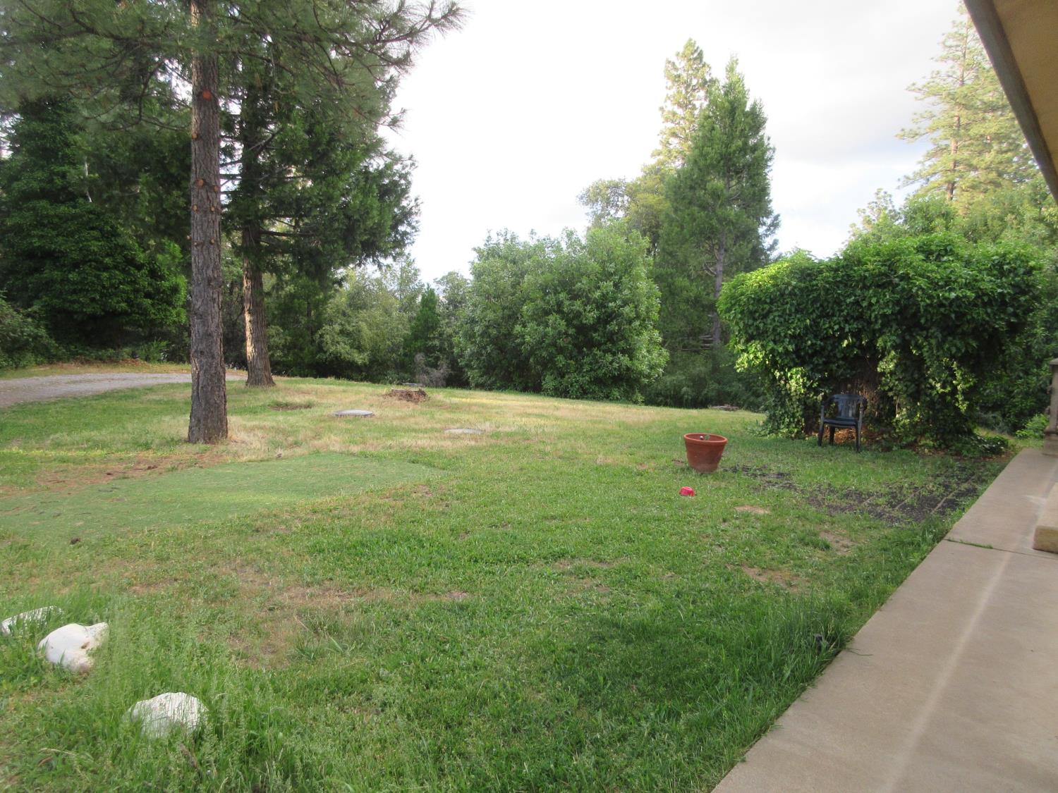 Detail Gallery Image 44 of 51 For 14337 Walnut St, Pine Grove,  CA 95665 - 2 Beds | 2 Baths