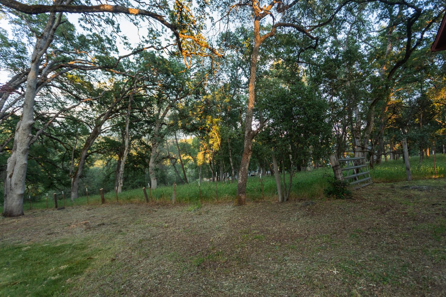 Detail Gallery Image 41 of 49 For 2691 Family Hill Dr, Placerville,  CA 95667 - 3 Beds | 2 Baths