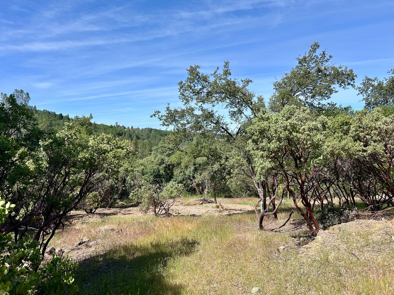 Detail Gallery Image 7 of 25 For 15805 Shannon Way, Nevada City,  CA 95959 - – Beds | – Baths