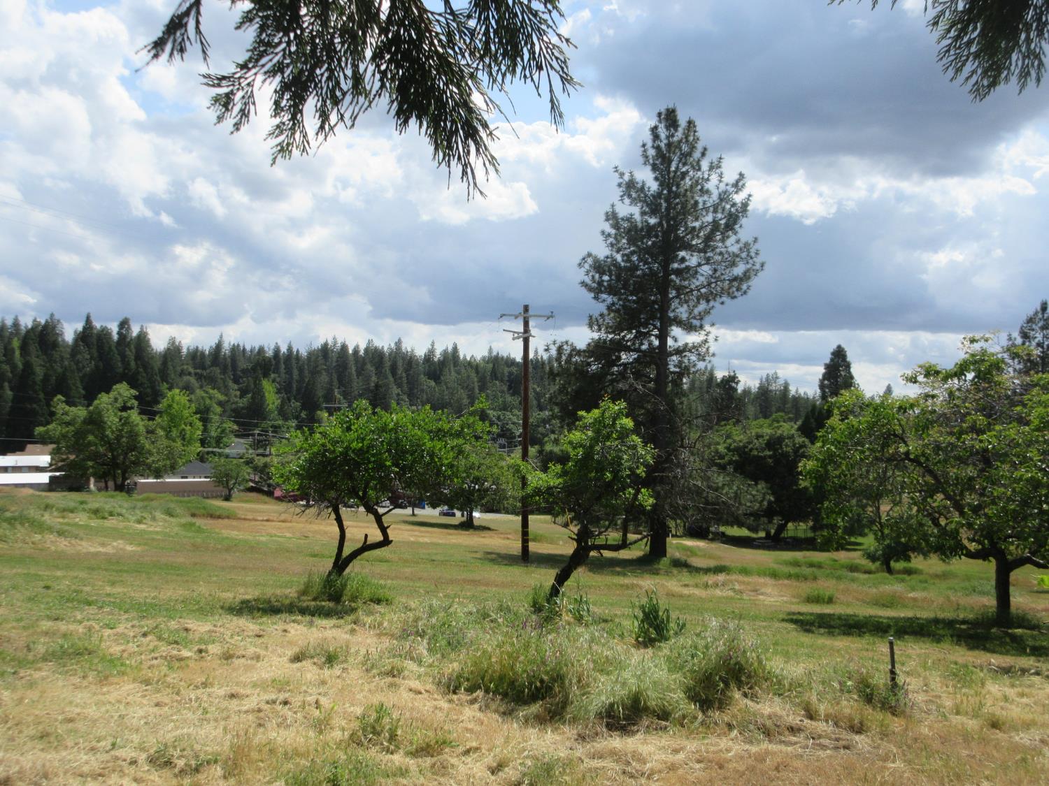 Detail Gallery Image 15 of 51 For 14337 Walnut St, Pine Grove,  CA 95665 - 2 Beds | 2 Baths