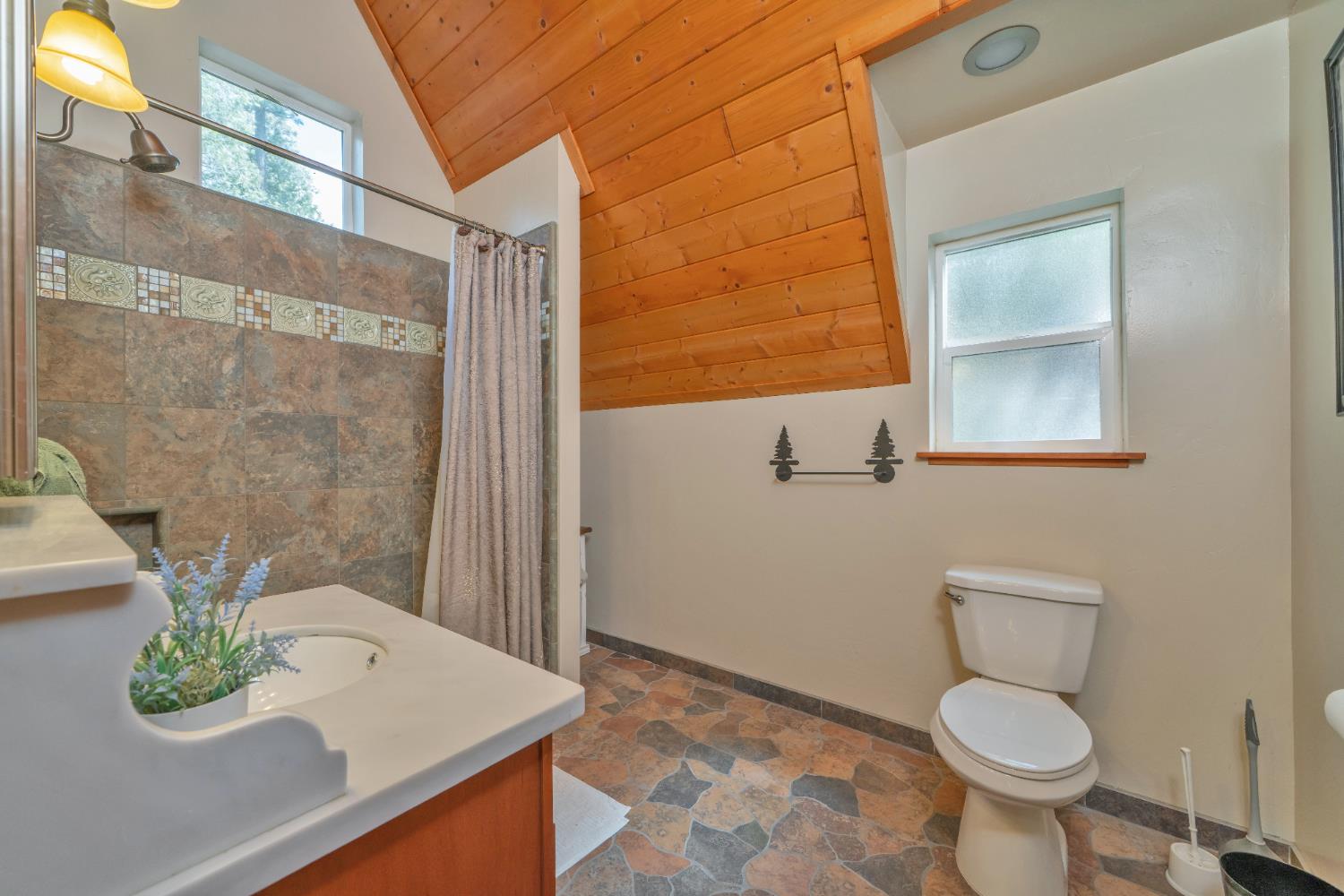 Detail Gallery Image 22 of 67 For 10870 Riverton Ln, Pollock Pines,  CA 95726 - 4 Beds | 2 Baths