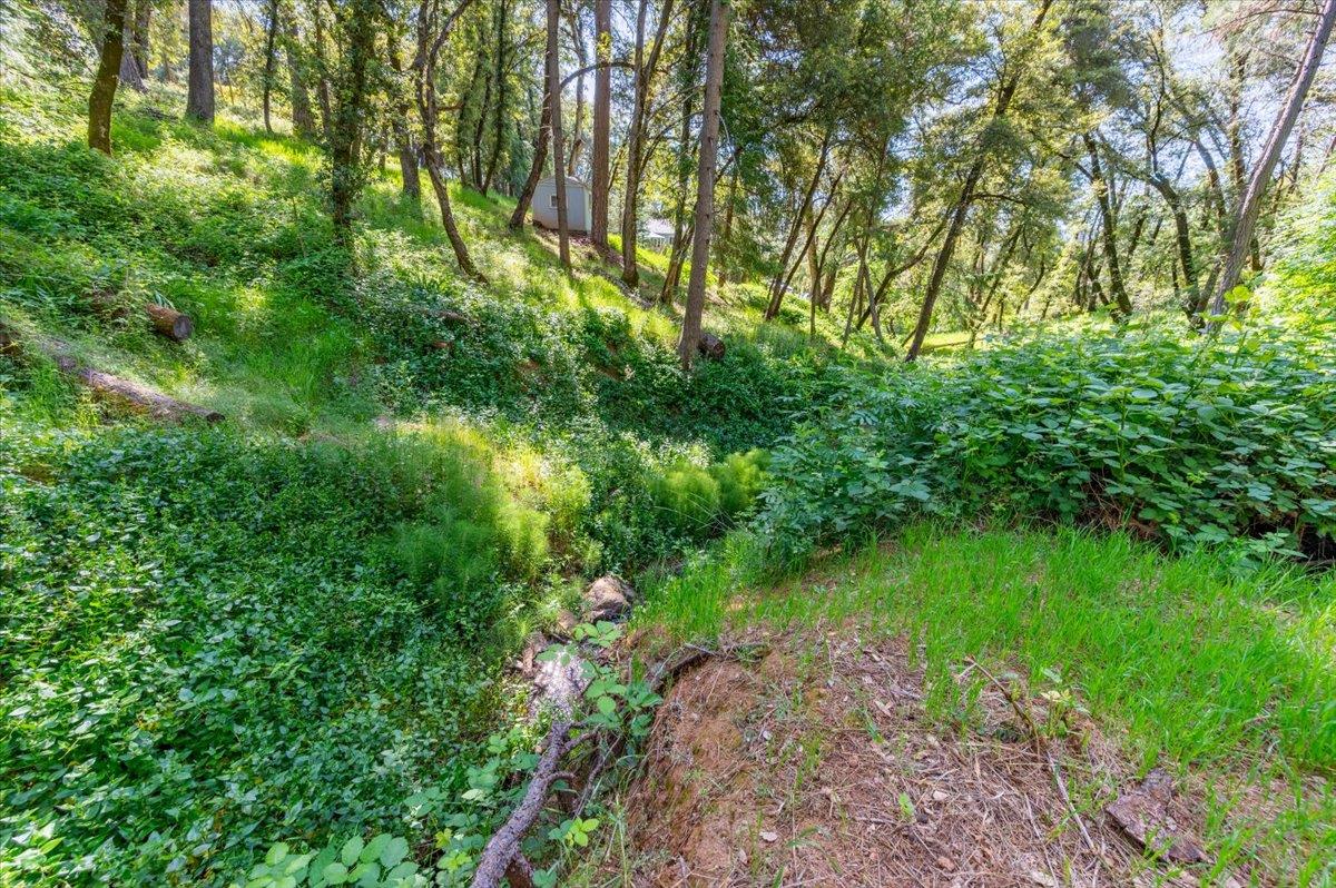 Detail Gallery Image 40 of 50 For 16559 Joey Ct, Grass Valley,  CA 95949 - 3 Beds | 2 Baths