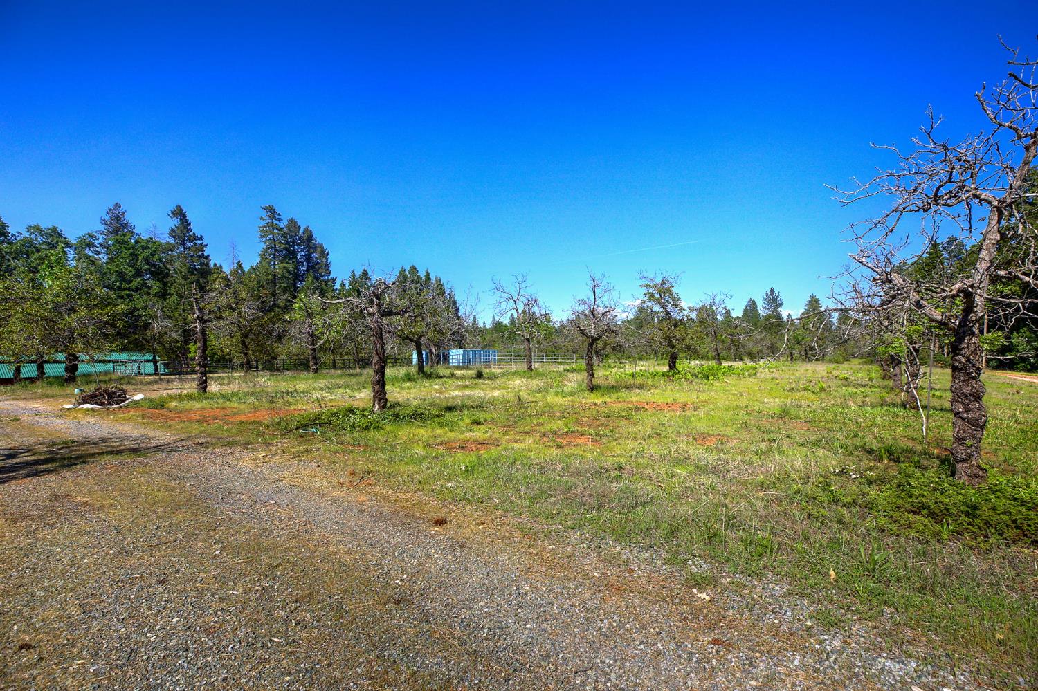 Detail Gallery Image 45 of 57 For Address Is Not Disclosed, Foresthill,  CA 95631 - 2 Beds | 3 Baths