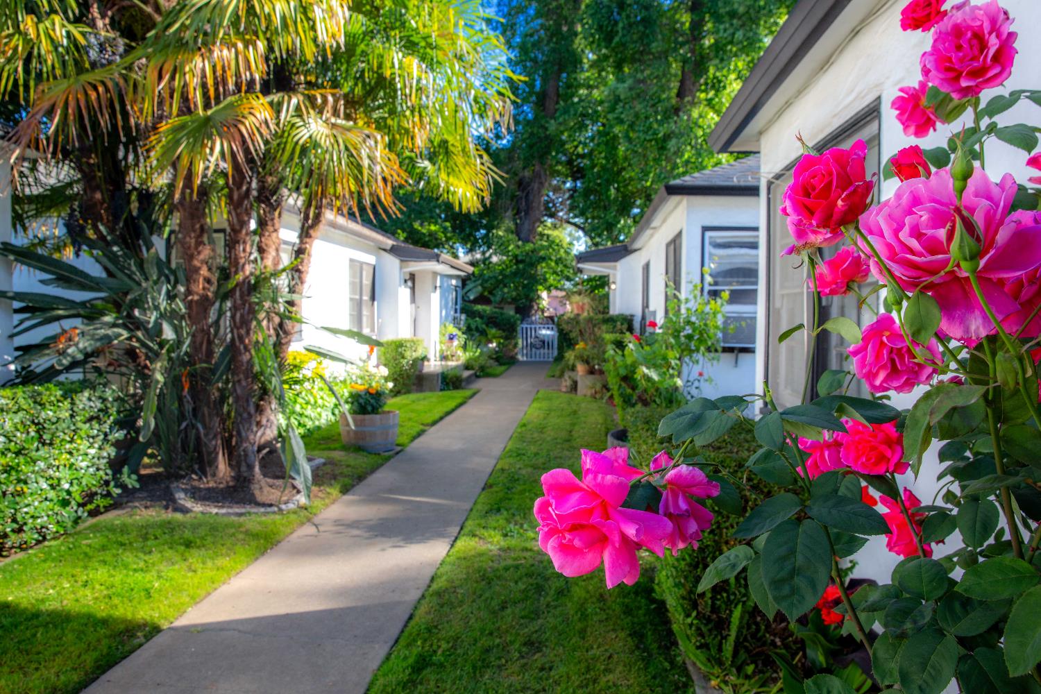 Detail Gallery Image 2 of 6 For 1209 U St, Sacramento,  CA 95818 - – Beds | – Baths