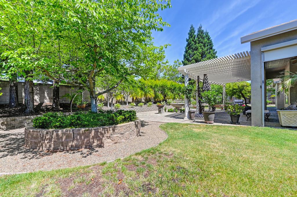 Tahoe Vista Drive, Rocklin, California image 16