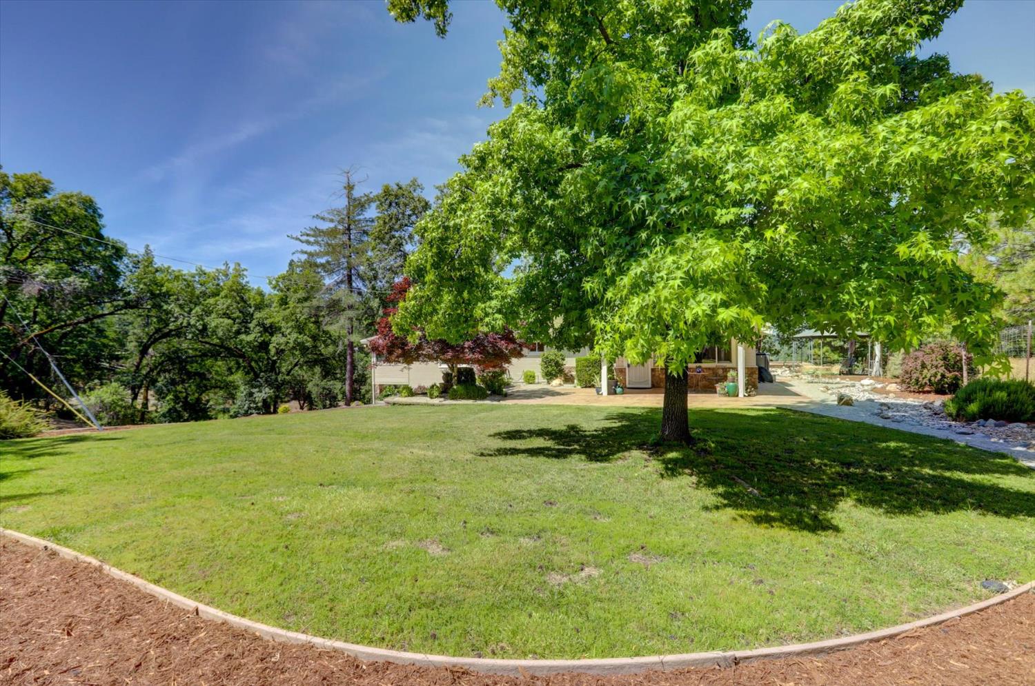 Detail Gallery Image 74 of 88 For 2500 N Lakewood Dr, Meadow Vista,  CA 95722 - 3 Beds | 2/1 Baths
