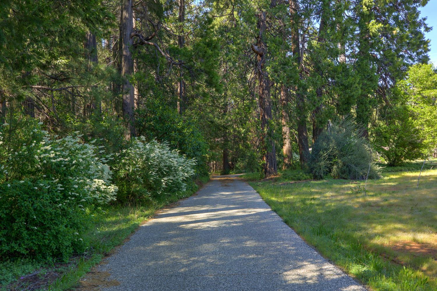 Detail Gallery Image 4 of 57 For Address Is Not Disclosed, Foresthill,  CA 95631 - 2 Beds | 3 Baths