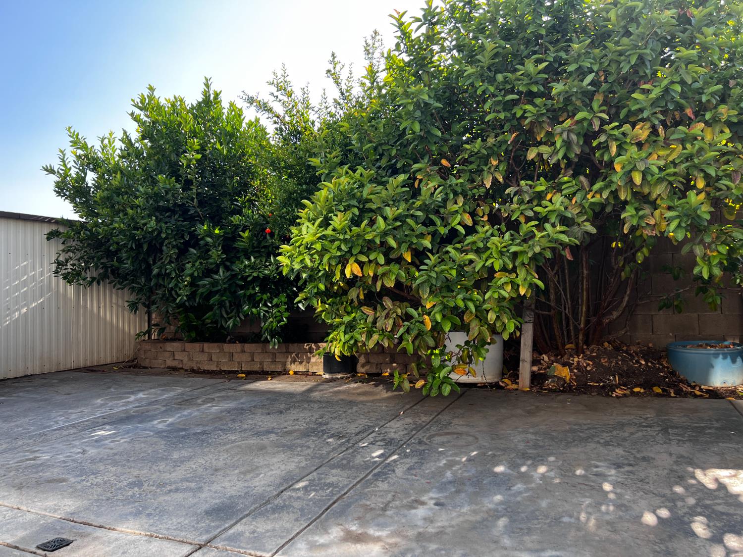 Detail Gallery Image 61 of 65 For 4309 Hazelnut Dr, Modesto,  CA 95356 - 5 Beds | 3 Baths