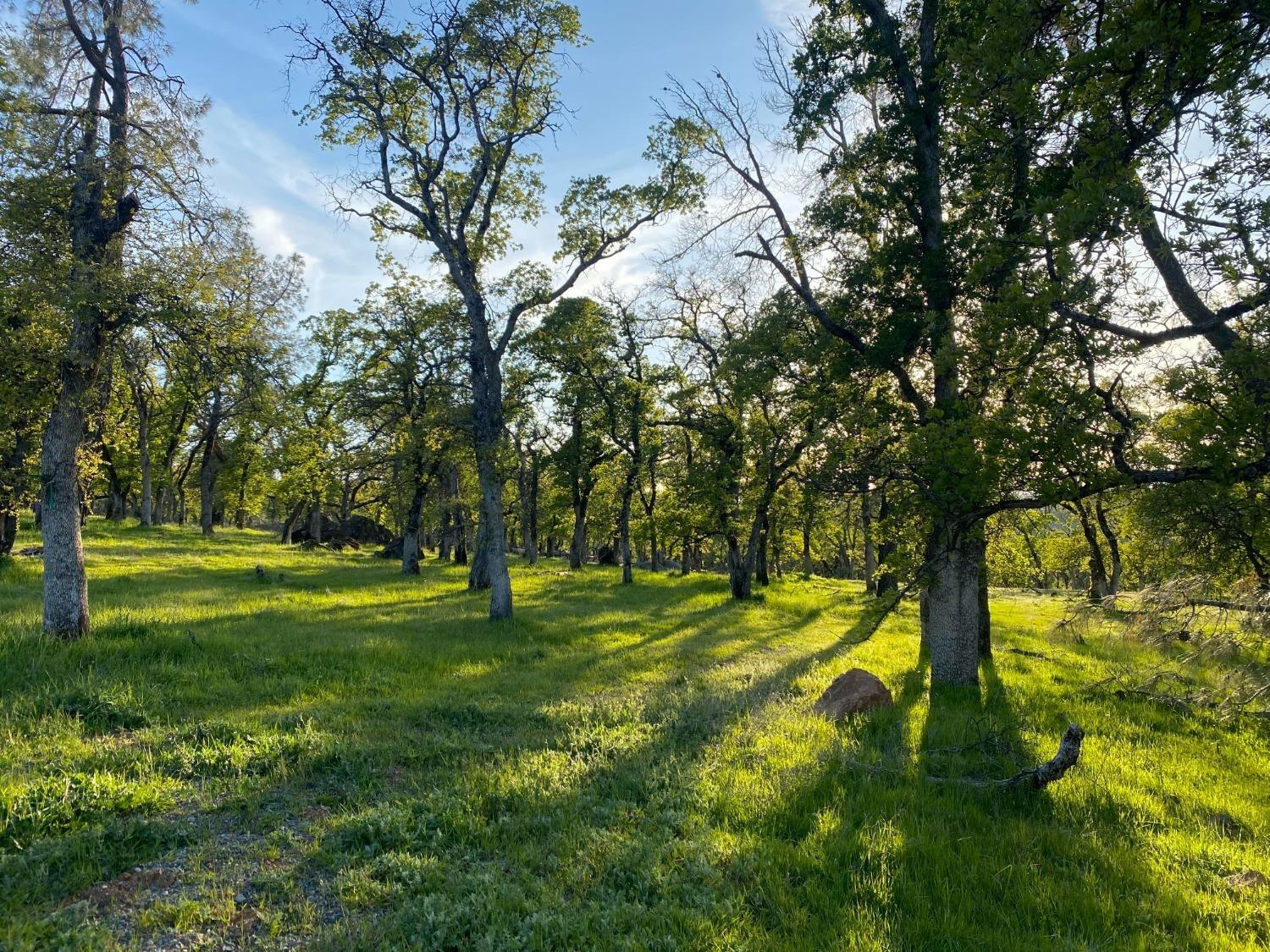 Detail Gallery Image 9 of 14 For 0 Hammonton Bluff Parcel 2, –,  CA 95977 - – Beds | – Baths