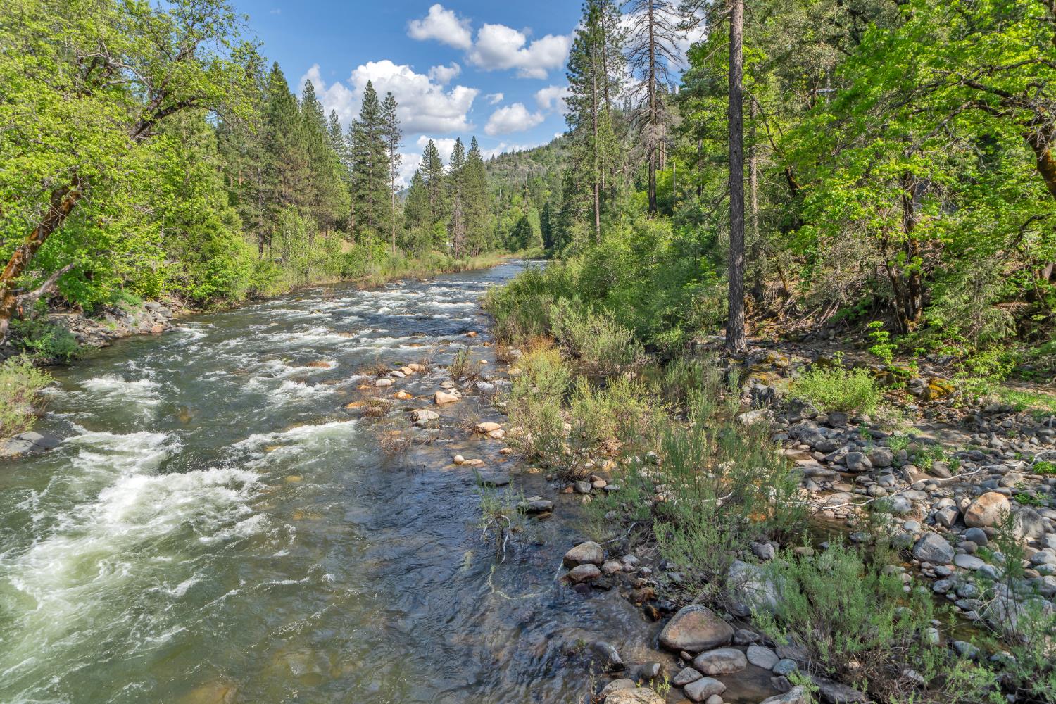 Detail Gallery Image 42 of 67 For 10870 Riverton Ln, Pollock Pines,  CA 95726 - 4 Beds | 2 Baths