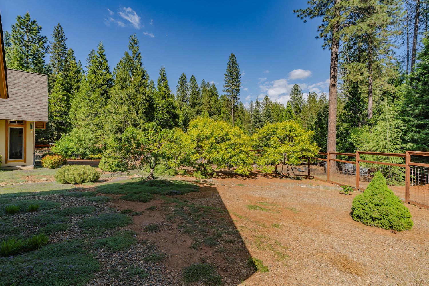 Detail Gallery Image 83 of 92 For 25521 Wildflower Dr, Volcano,  CA 95689 - 2 Beds | 2/1 Baths