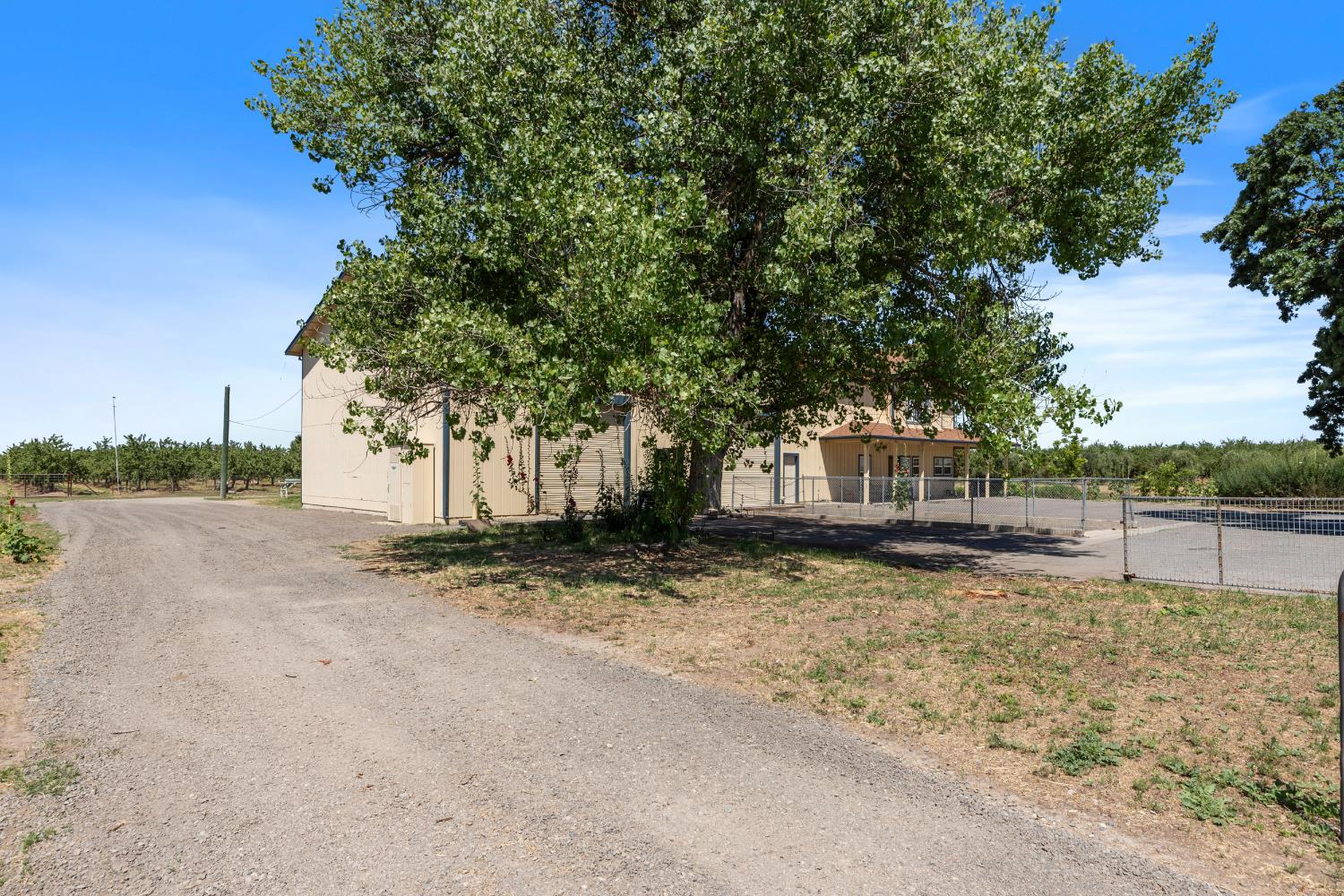 Detail Gallery Image 4 of 40 For 16161 S Murphy Rd, Escalon,  CA 95320 - – Beds | – Baths