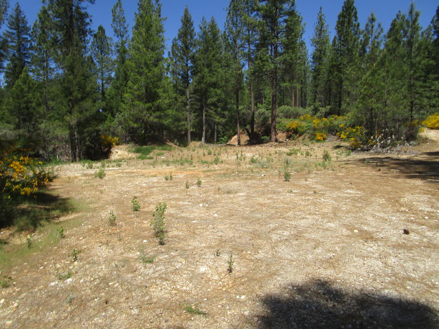 Detail Gallery Image 24 of 24 For 15699 Tyler Foote Rd, Nevada City,  CA 95959 - – Beds | – Baths