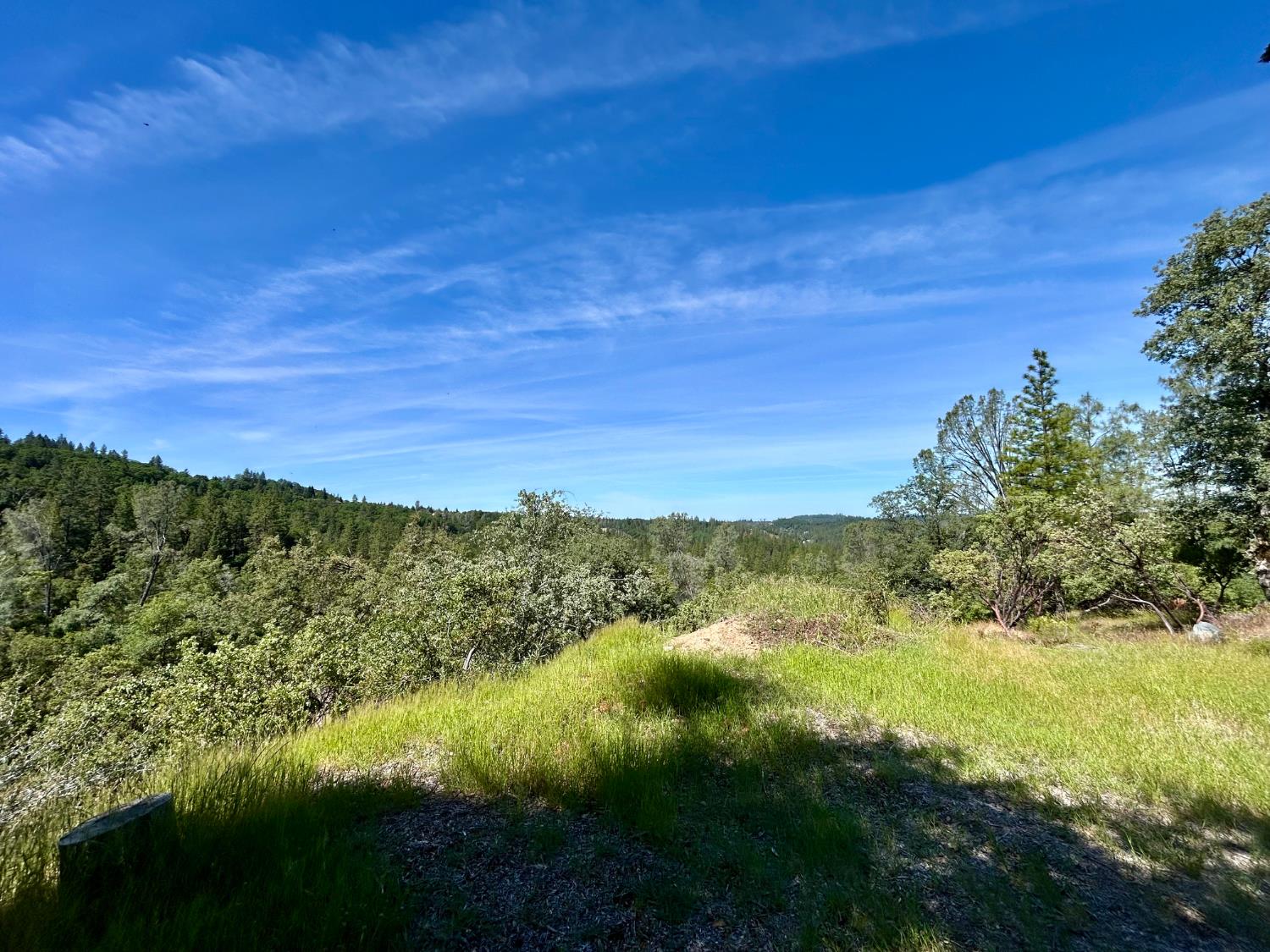 Detail Gallery Image 9 of 25 For 15805 Shannon Way, Nevada City,  CA 95959 - – Beds | – Baths