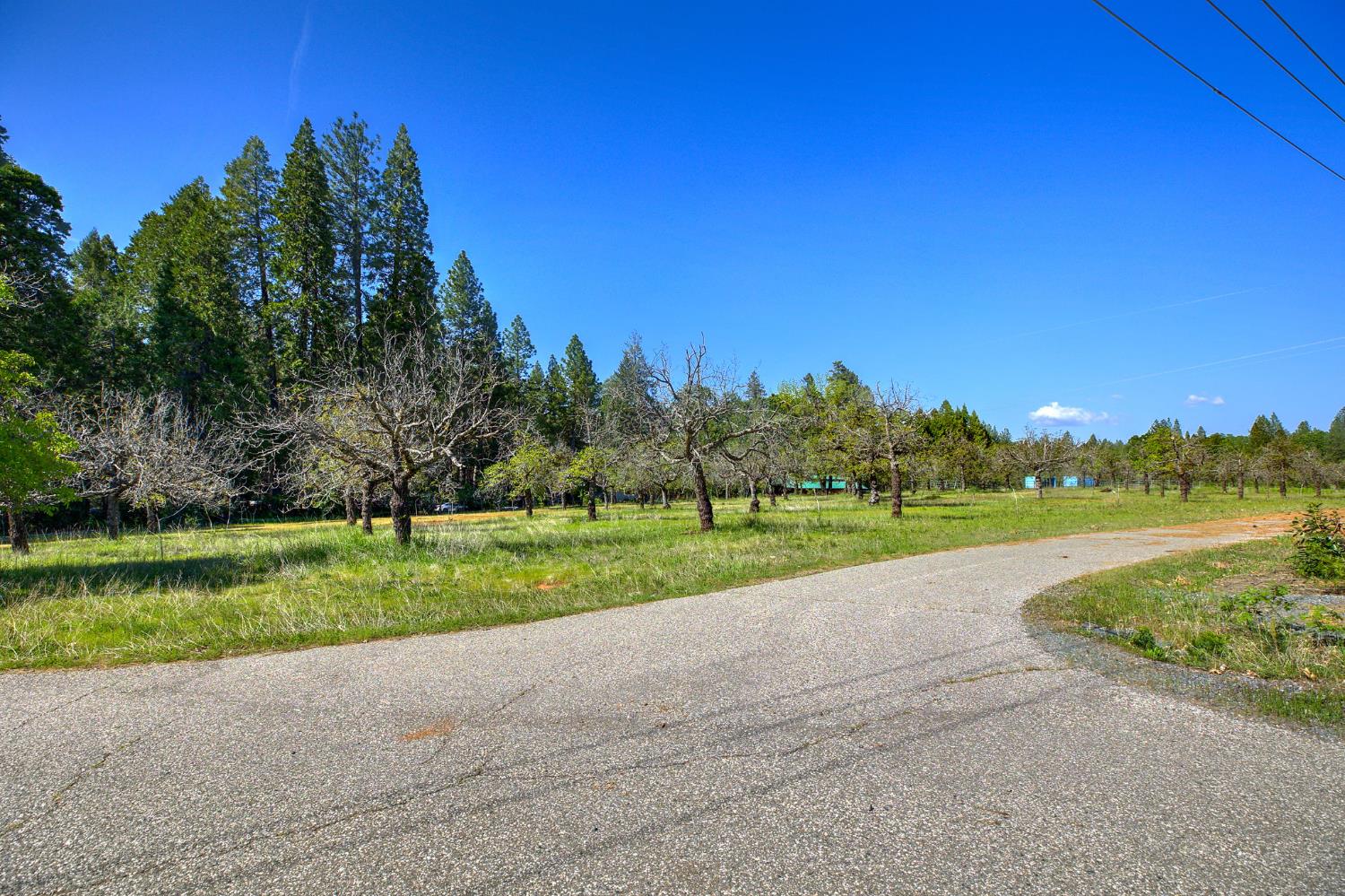 Detail Gallery Image 3 of 57 For Address Is Not Disclosed, Foresthill,  CA 95631 - 2 Beds | 3 Baths