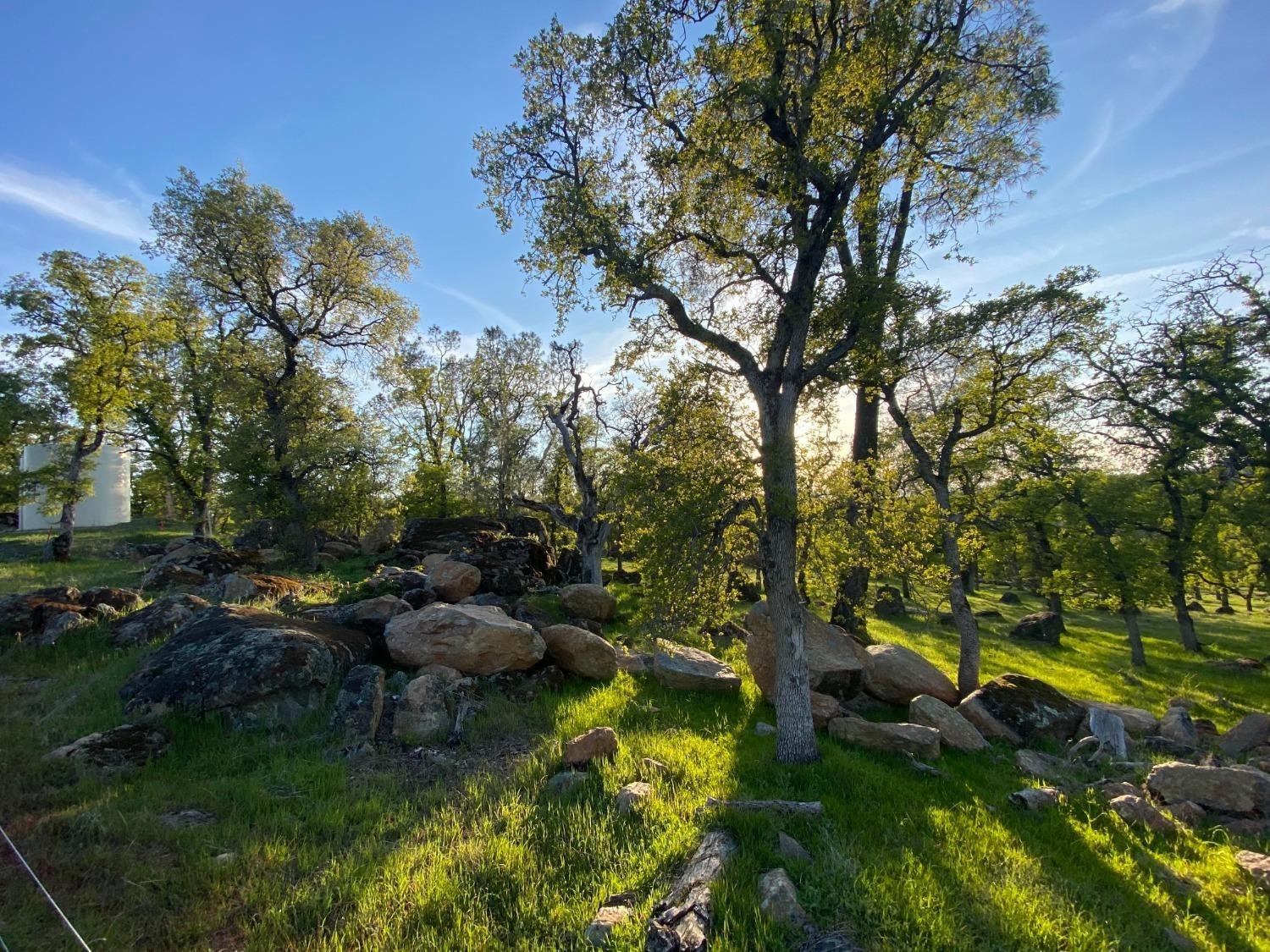 Detail Gallery Image 3 of 14 For 0 Hammonton Bluff Parcel 2, –,  CA 95977 - – Beds | – Baths