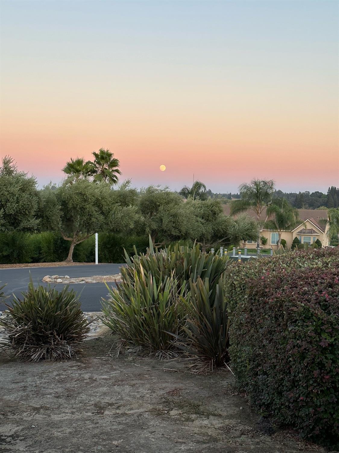 Detail Gallery Image 58 of 64 For 10715 Amerine Ln, Oakdale,  CA 95361 - 2 Beds | 2/1 Baths