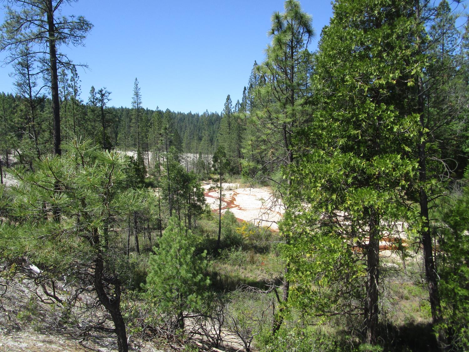 Detail Gallery Image 3 of 24 For 15699 Tyler Foote Rd, Nevada City,  CA 95959 - – Beds | – Baths