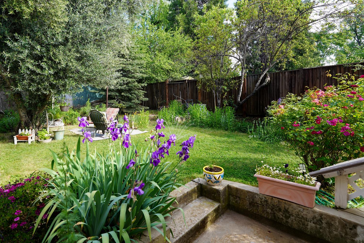 Detail Gallery Image 53 of 64 For 315 Pleasant St, Grass Valley,  CA 95945 - 3 Beds | 2/1 Baths