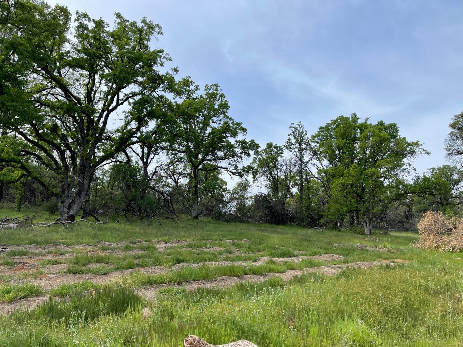 Troost Trail, North San Juan, California image 25