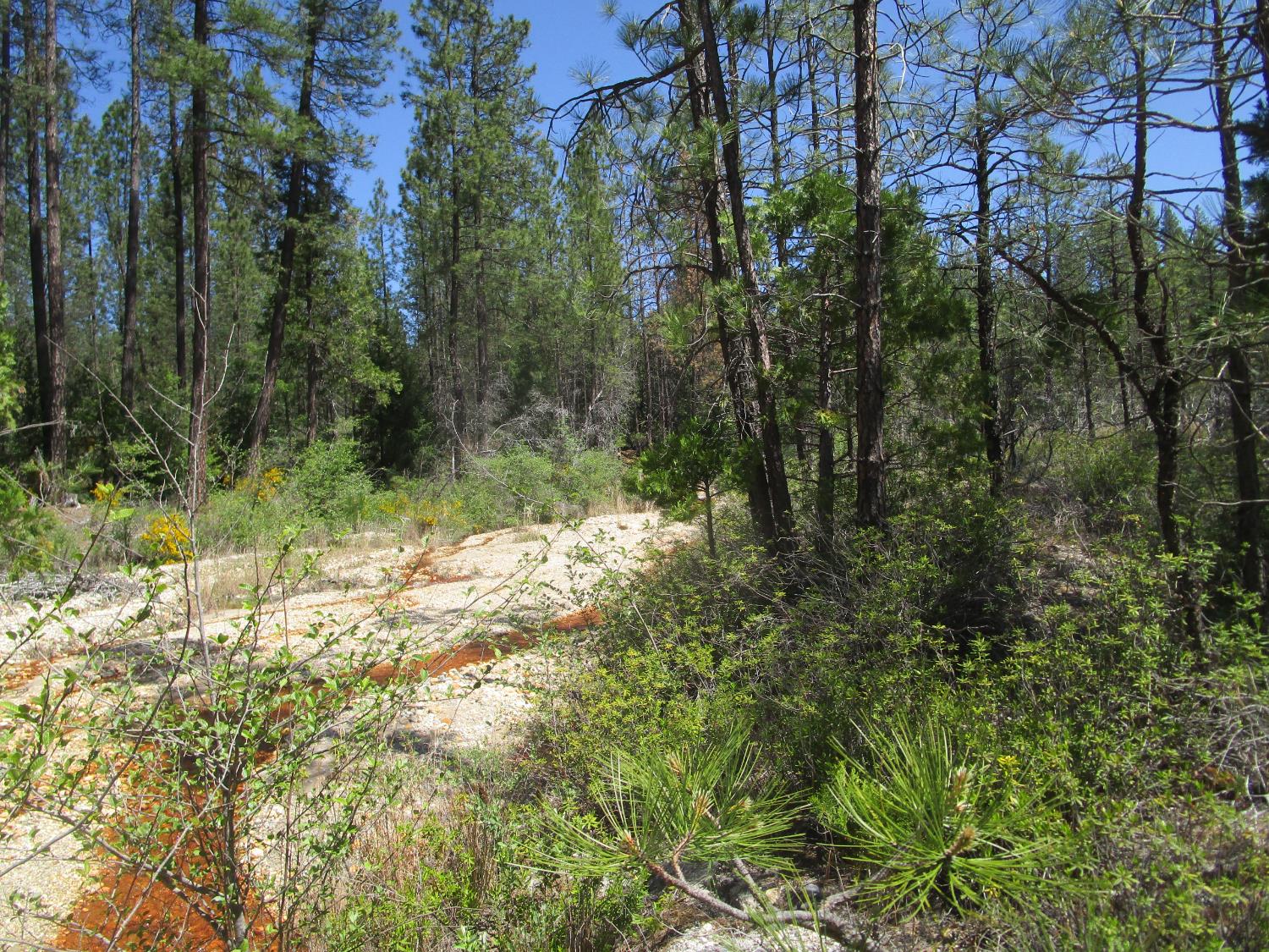 Detail Gallery Image 5 of 24 For 15699 Tyler Foote Rd, Nevada City,  CA 95959 - – Beds | – Baths