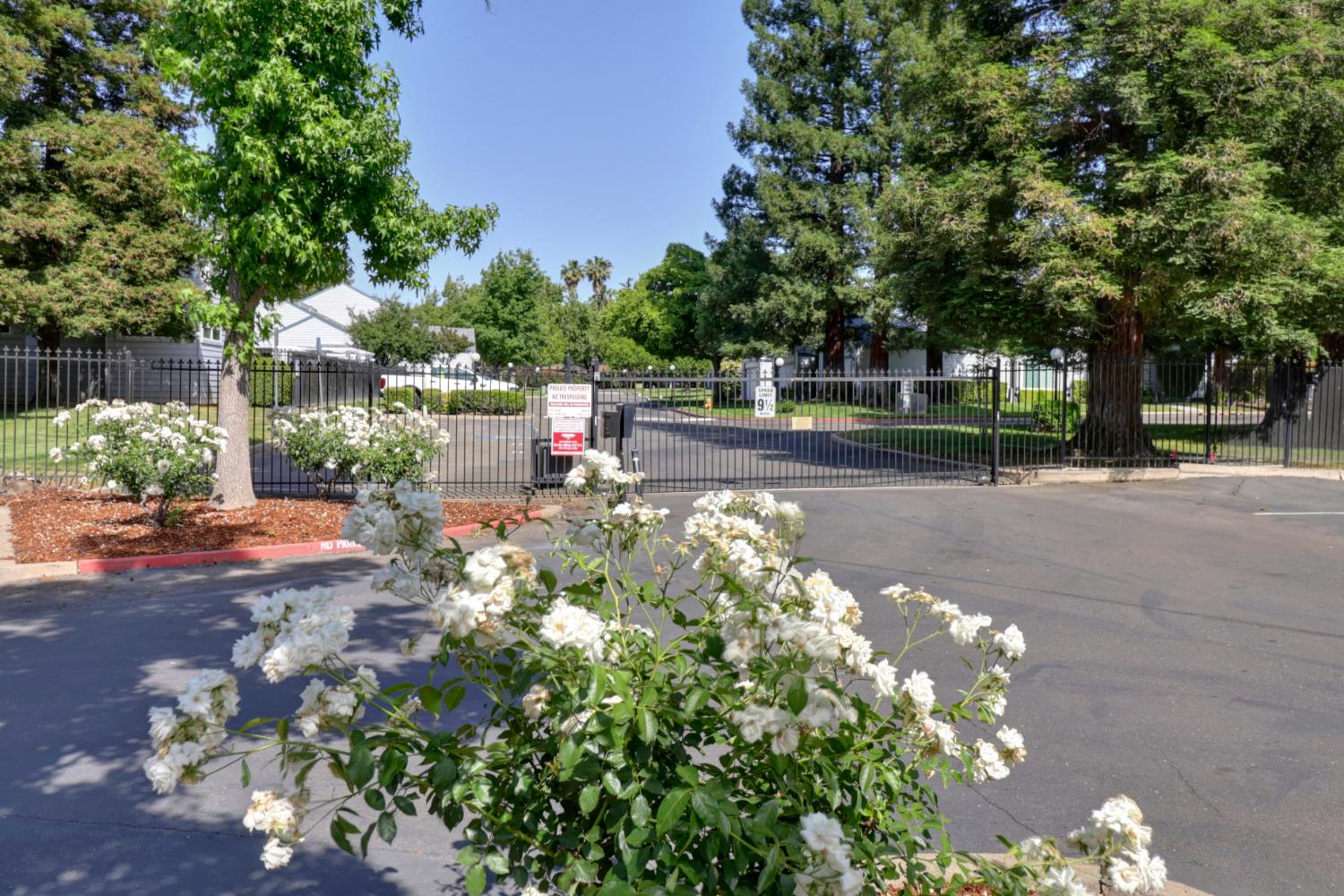 Photo #38: 225064866 Listing: Photo #38