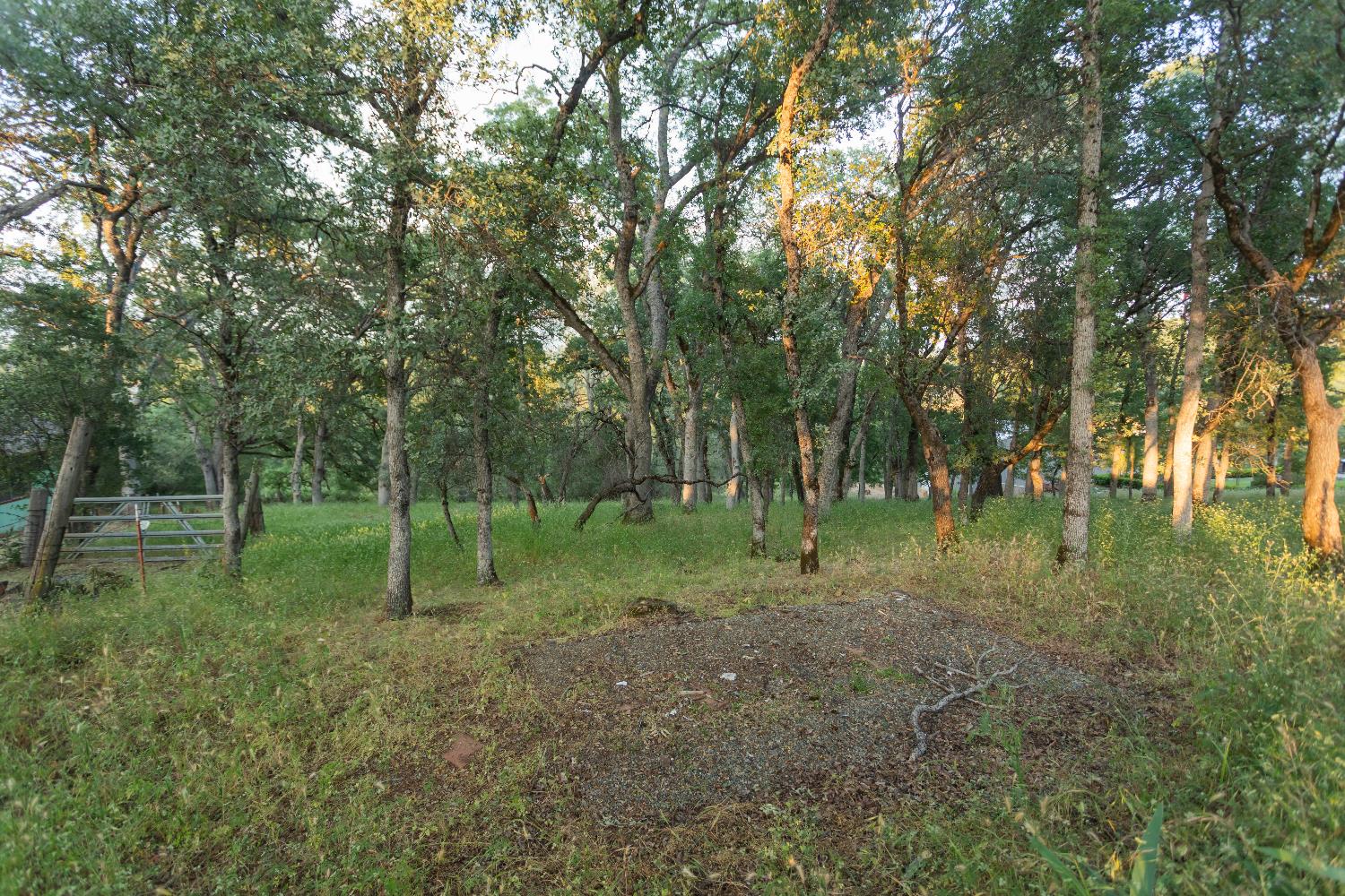 Detail Gallery Image 43 of 49 For 2691 Family Hill Dr, Placerville,  CA 95667 - 3 Beds | 2 Baths