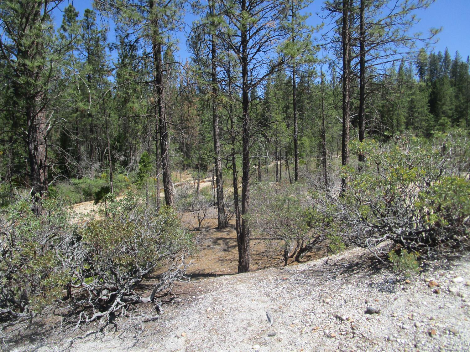 Detail Gallery Image 4 of 24 For 15699 Tyler Foote Rd, Nevada City,  CA 95959 - – Beds | – Baths