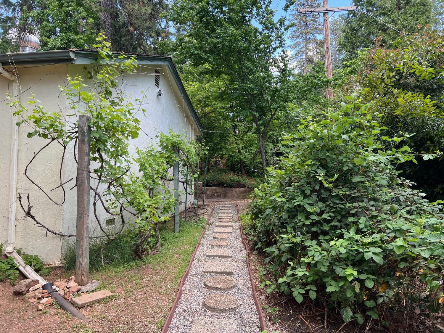 Detail Gallery Image 44 of 52 For 465 Alpine Dr, Colfax,  CA 95713 - 3 Beds | 1/1 Baths