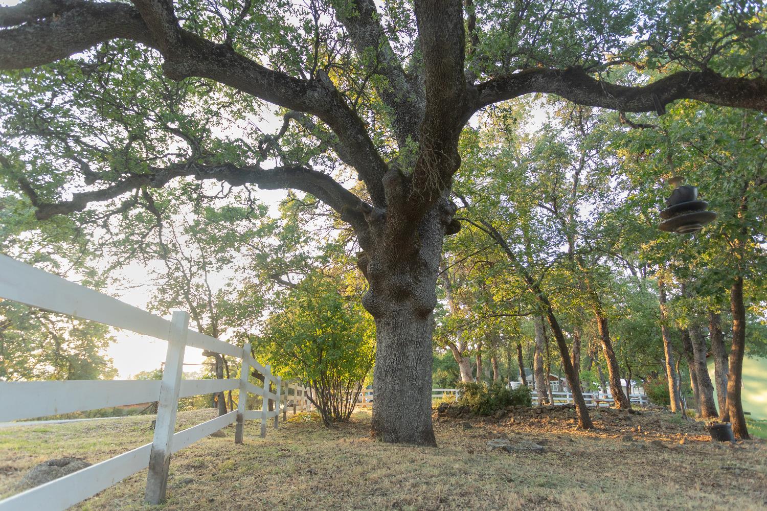 Detail Gallery Image 44 of 49 For 2691 Family Hill Dr, Placerville,  CA 95667 - 3 Beds | 2 Baths