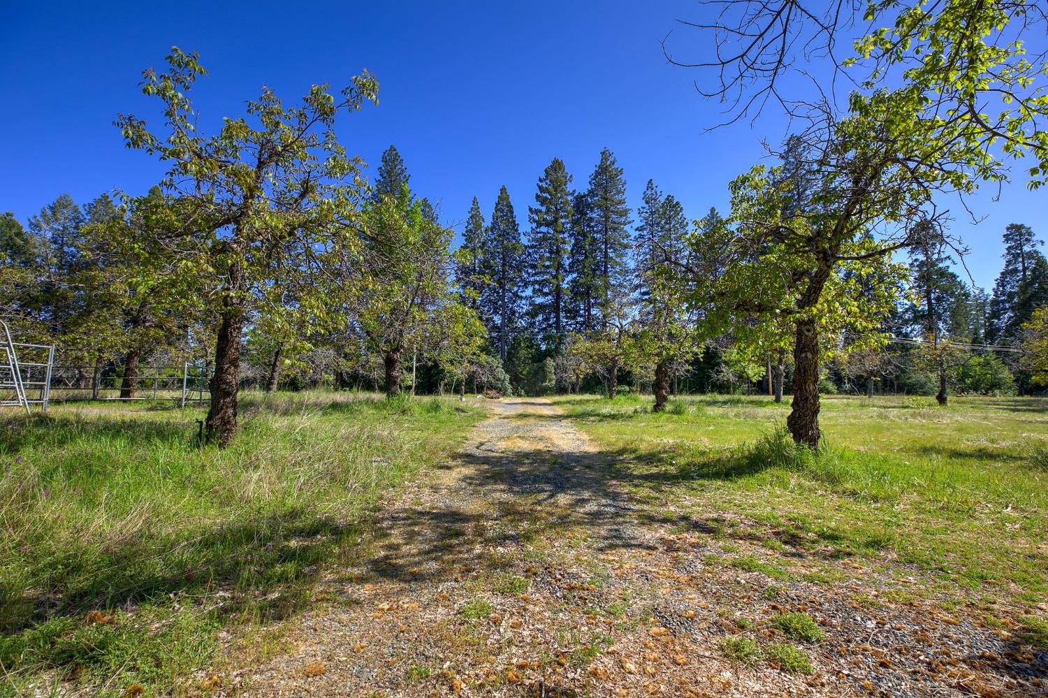 Detail Gallery Image 56 of 57 For Address Is Not Disclosed, Foresthill,  CA 95631 - 2 Beds | 3 Baths