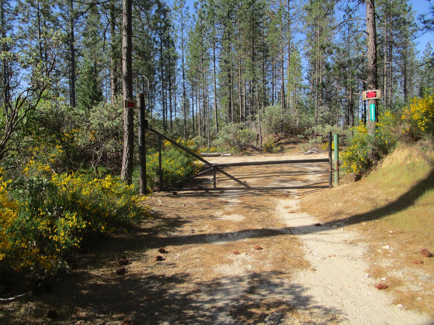 Detail Gallery Image 7 of 23 For 15699 Tyler Foote Rd, Nevada City,  CA 95959 - – Beds | – Baths