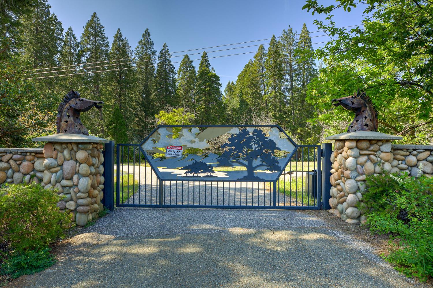 Detail Gallery Image 2 of 57 For Address Is Not Disclosed, Foresthill,  CA 95631 - 2 Beds | 3 Baths