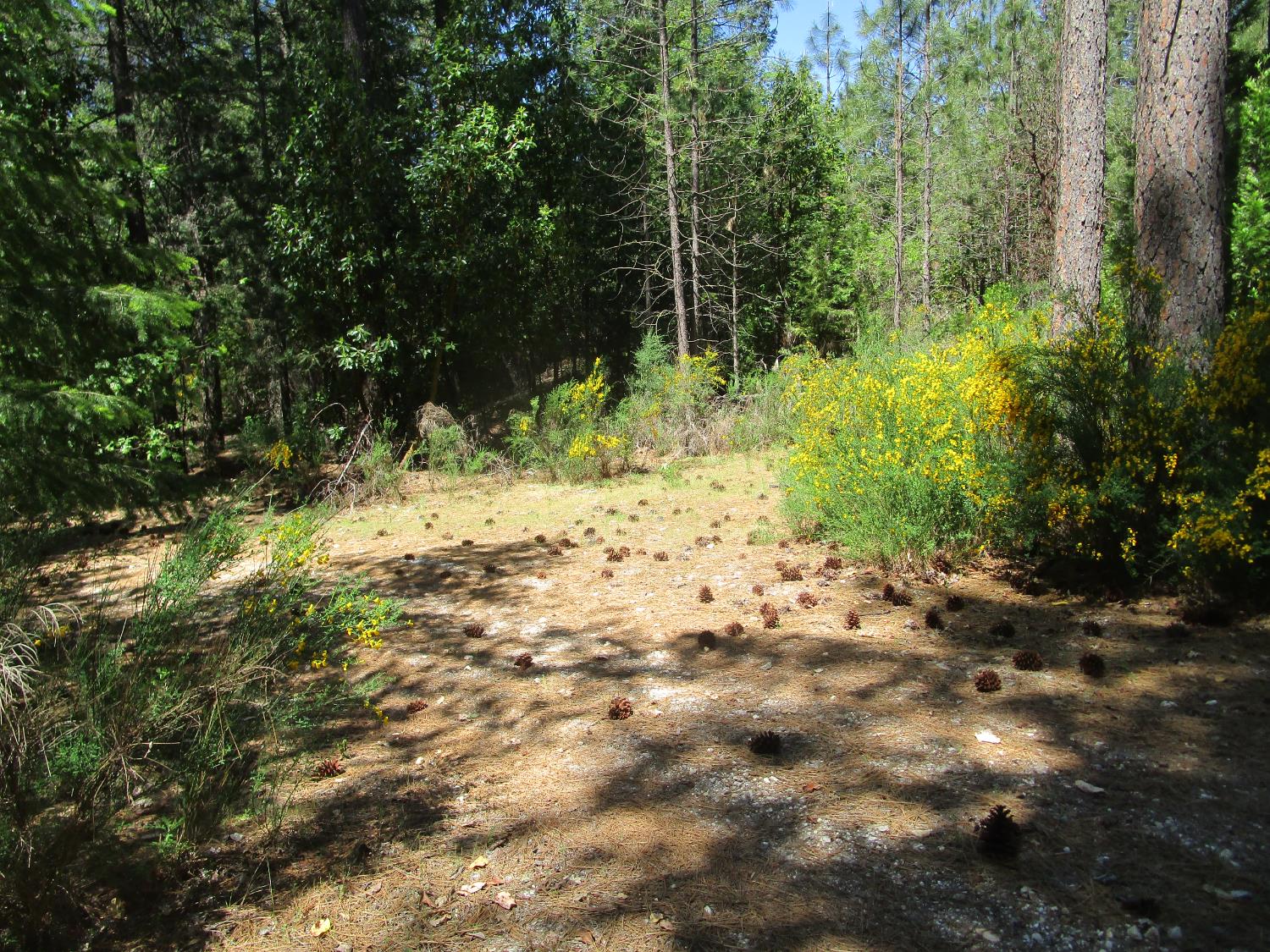 Detail Gallery Image 22 of 24 For 15699 Tyler Foote Rd, Nevada City,  CA 95959 - – Beds | – Baths